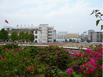 广西省柳州八中学